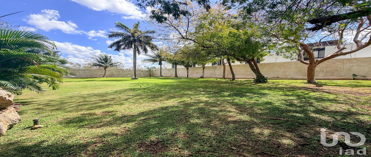 Foto de terreno habitacional en venta en 82 180, dzitya, mérida, yucatán, 31288325 No. 03