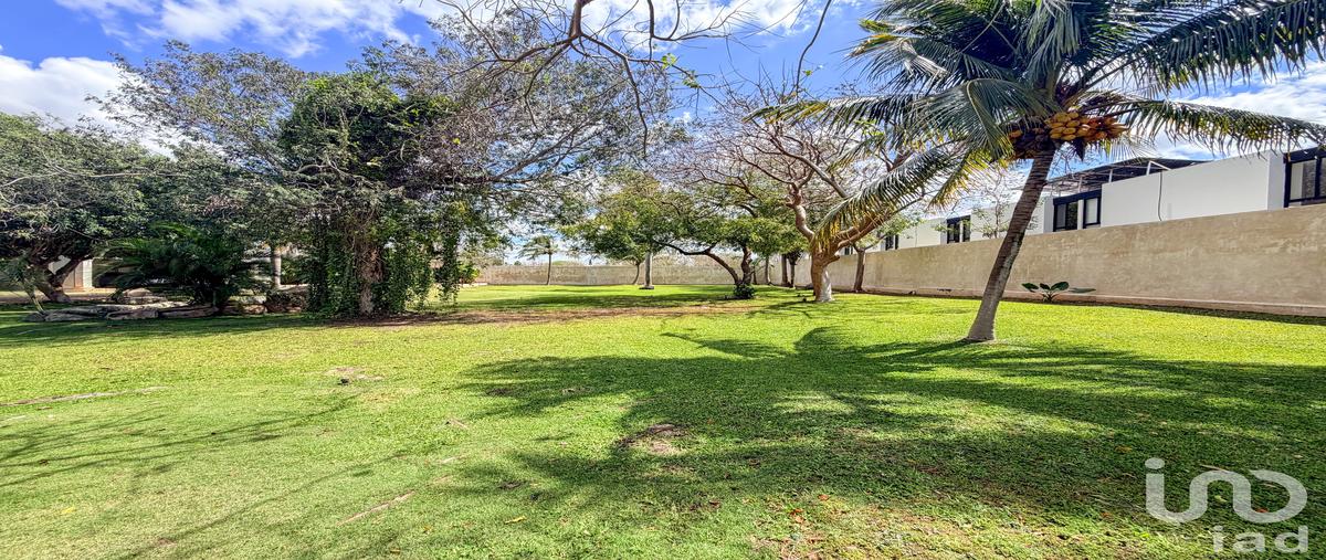 Foto de terreno habitacional en venta en 82 180, dzitya, mérida, yucatán, 31288325 No. 05