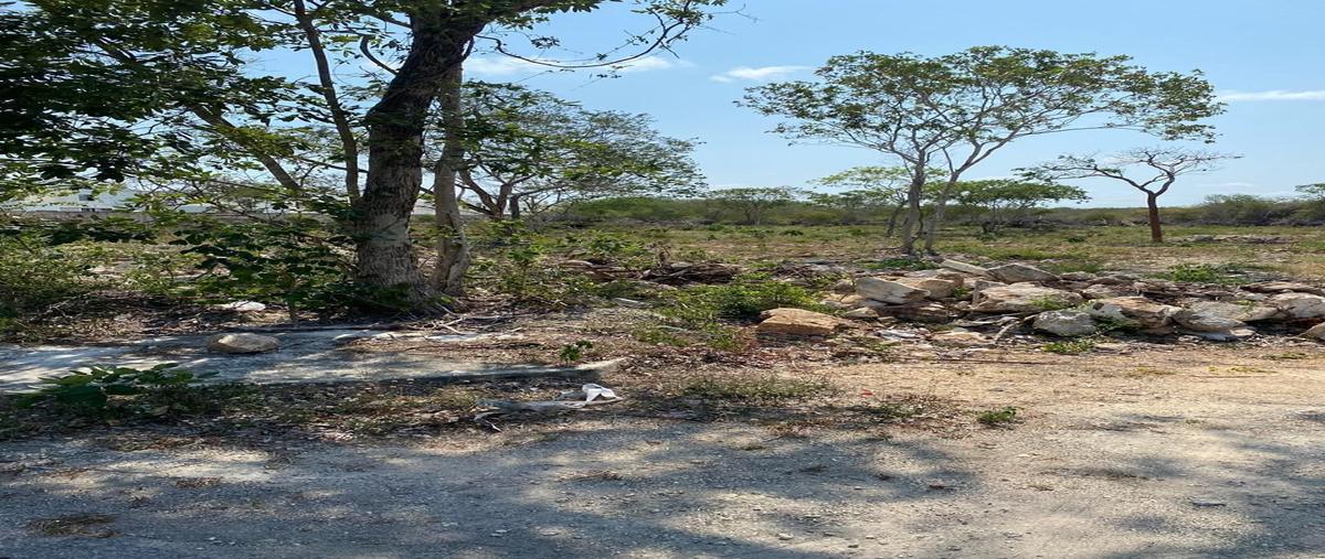 Foto de terreno habitacional en venta en 82 , dzitya, mérida, yucatán, 0 No. 03