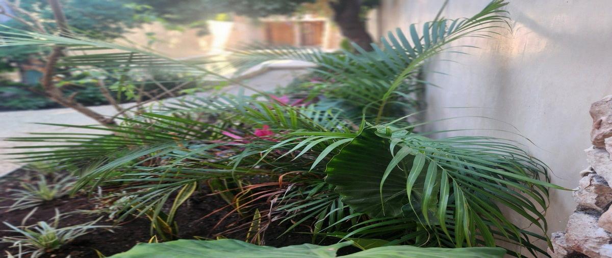 Foto de casa en venta en 83 , merida centro, mérida, yucatán, 0 No. 05