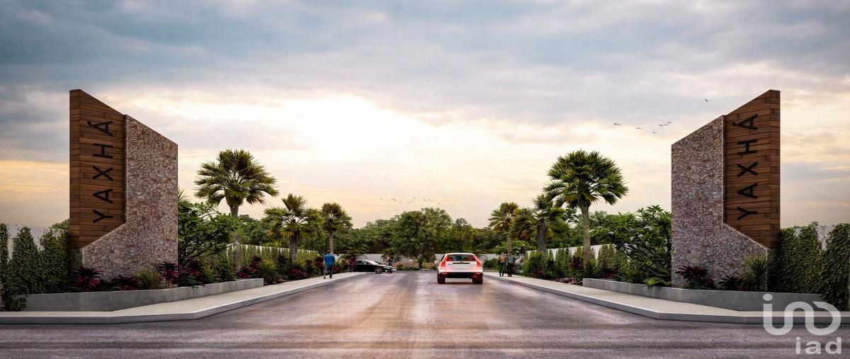 Foto de terreno habitacional en 8505 8588, x-cuyum, conkal, yucatán, 28720018 foto 03 Foto de terreno habitacional en venta en 8505 8588, x-cuyum, conkal, yucatán, 28720018 No. 03