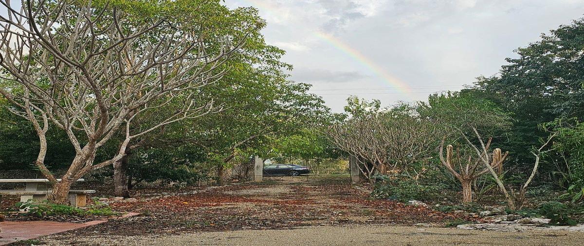 Foto de terreno habitacional en venta en 86 , santa cruz palomeque, mérida, yucatán, 0 No. 05