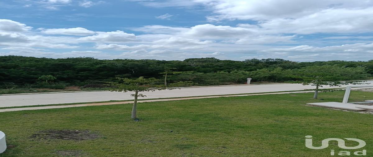Foto de terreno habitacional en venta en 88 114, progreso de castro centro, progreso, yucatán, 30519540 No. 04