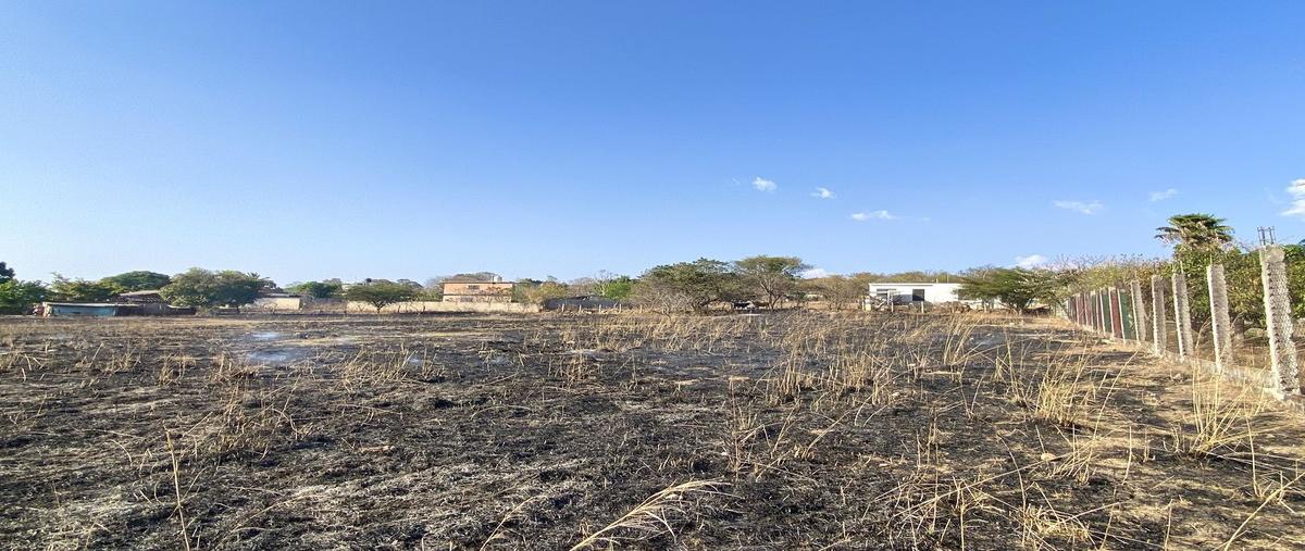 Foto de terreno habitacional en venta en 8a oriente norte , el jobo, tuxtla gutiérrez, chiapas, 0 No. 05