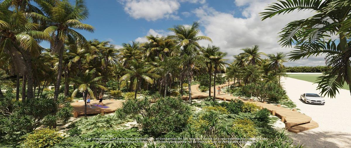 Foto de terreno habitacional en venta en 8hgm+4h , san diego, dzemul, yucatán, 0 No. 03