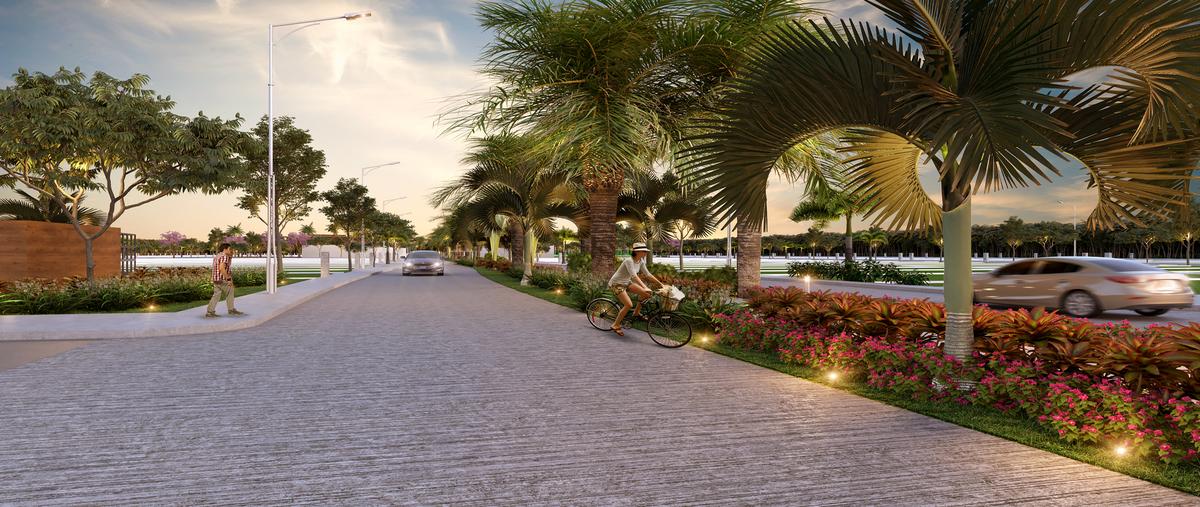 Foto de terreno habitacional en venta en 8qf7+3h telchac puertoyucatan , telchac puerto, telchac puerto, yucatán, 30288352 No. 05