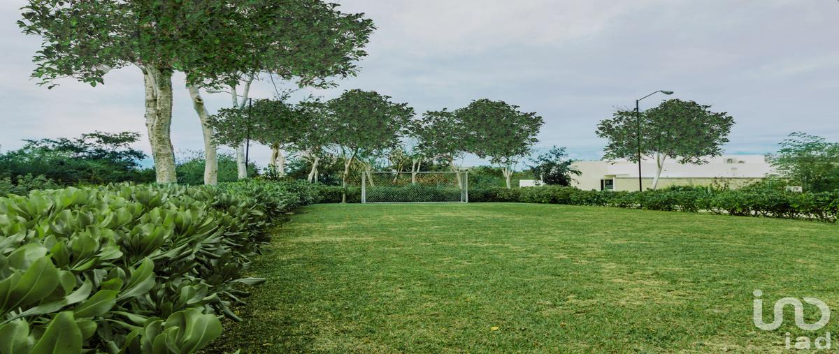 Foto de terreno habitacional en venta en 9 719, yaxkukul, yaxkukul, yucatán, 29798196 No. 05