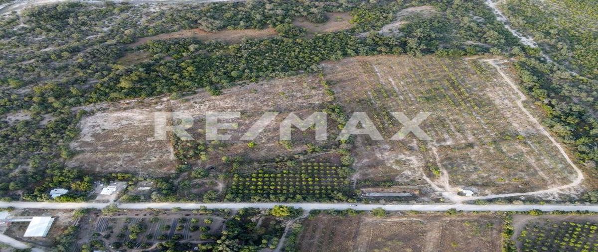 Foto de terreno habitacional en 9 acre orchard, agua caliente, east cape , agua caliente, los cabos, baja california sur, 0 foto 02 Foto de terreno habitacional en venta en 9 acre orchard, agua caliente, east cape , agua caliente, los cabos, baja california sur, 0 No. 02