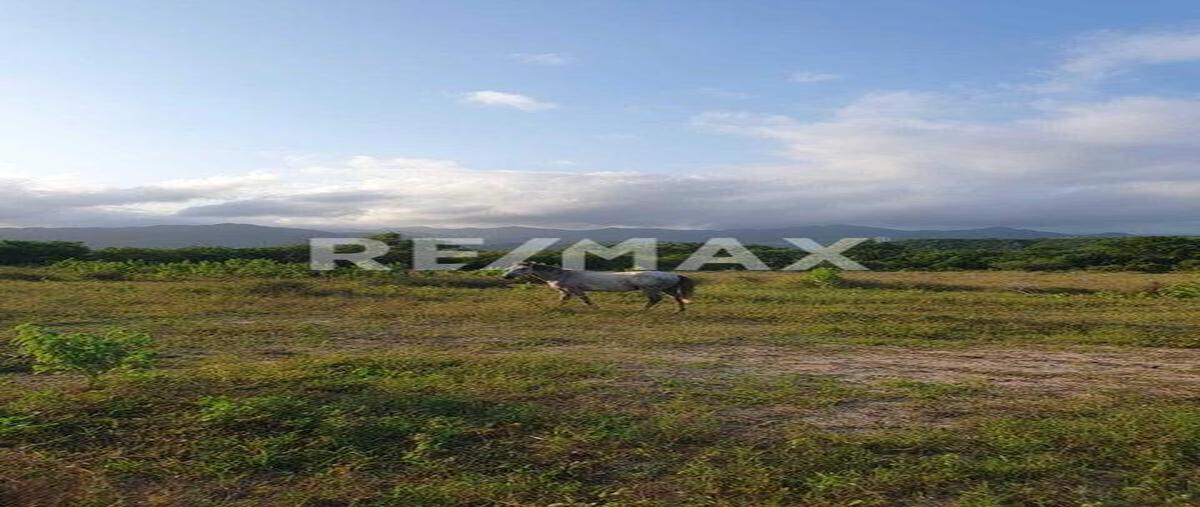 Foto de terreno habitacional en 9 acre orchard, agua caliente, east cape , agua caliente, los cabos, baja california sur, 0 foto 04 Foto de terreno habitacional en venta en 9 acre orchard, agua caliente, east cape , agua caliente, los cabos, baja california sur, 0 No. 04