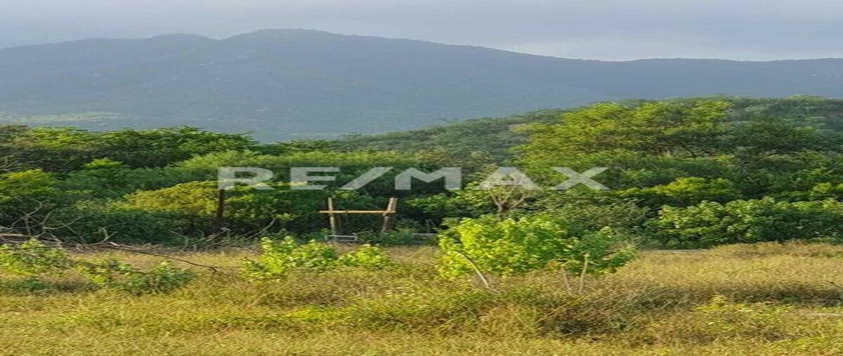 Foto de terreno habitacional en 9 acre orchard, agua caliente, east cape , agua caliente, los cabos, baja california sur, 0 foto 05 Foto de terreno habitacional en venta en 9 acre orchard, agua caliente, east cape , agua caliente, los cabos, baja california sur, 0 No. 05