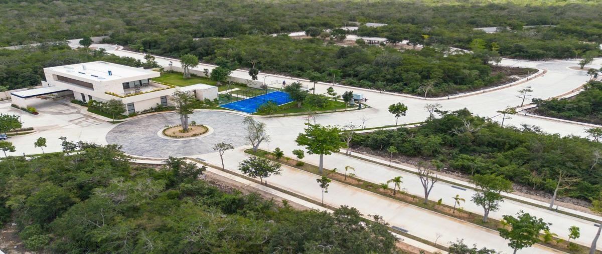 Foto de terreno habitacional en venta en 9 , chablekal, mérida, yucatán, 27493248 No. 04