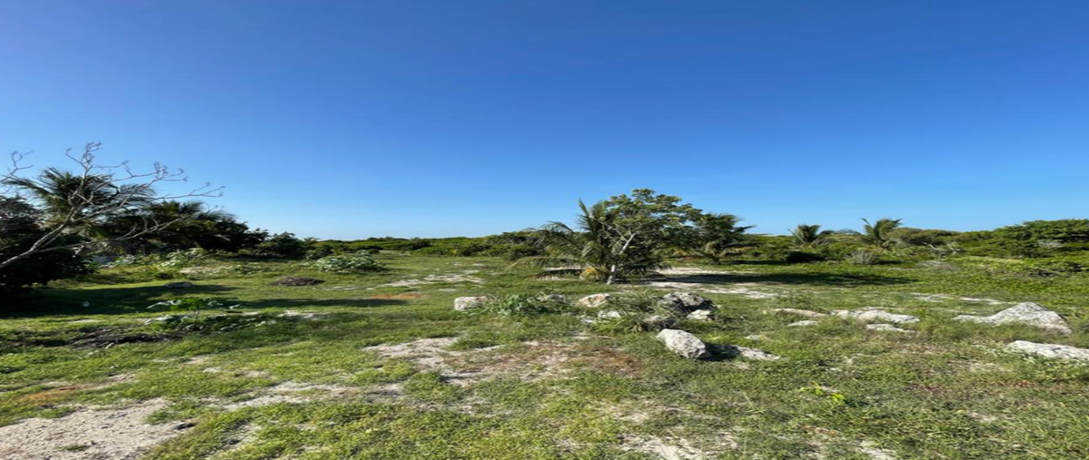 Foto de terreno habitacional en venta en 9 , chuburna puerto, progreso, yucatán, 0 No. 03