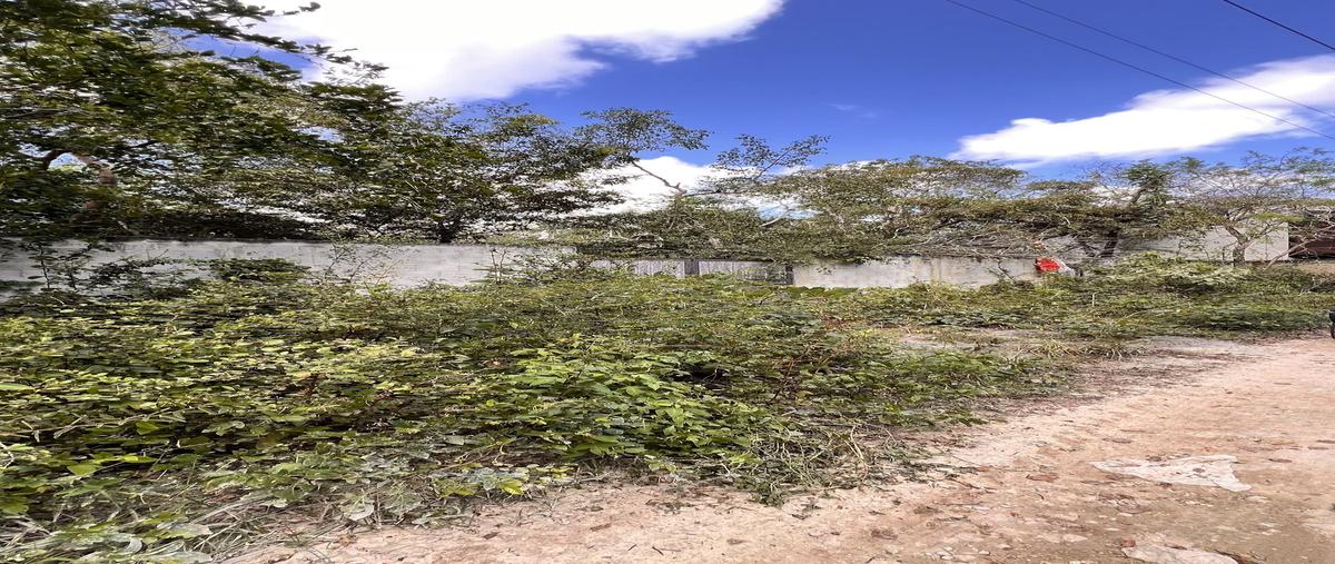 Foto de terreno habitacional en venta en 9 poniente , region 15 kukulcan, tulum, quintana roo, 0 No. 05