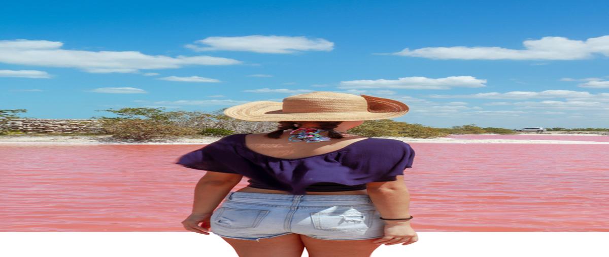 Foto de terreno habitacional en venta en 9 , telchac puerto, telchac puerto, yucatán, 0 No. 04