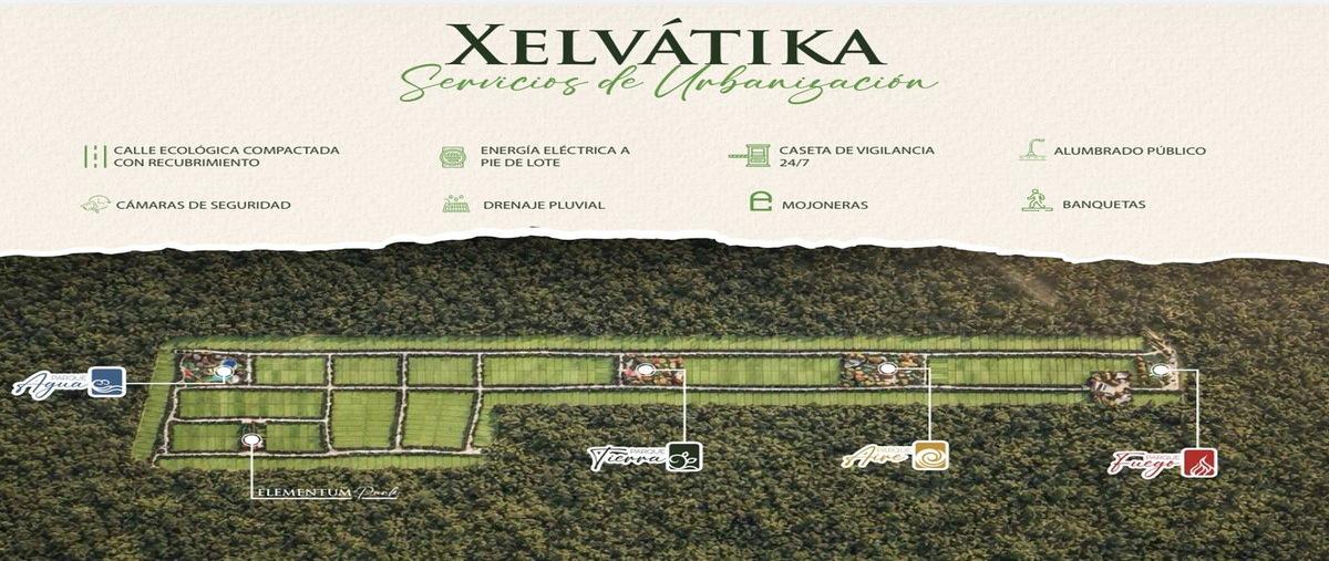 Foto de terreno habitacional en venta en 9 , yokdzonot, calotmul, yucatán, 0 No. 04