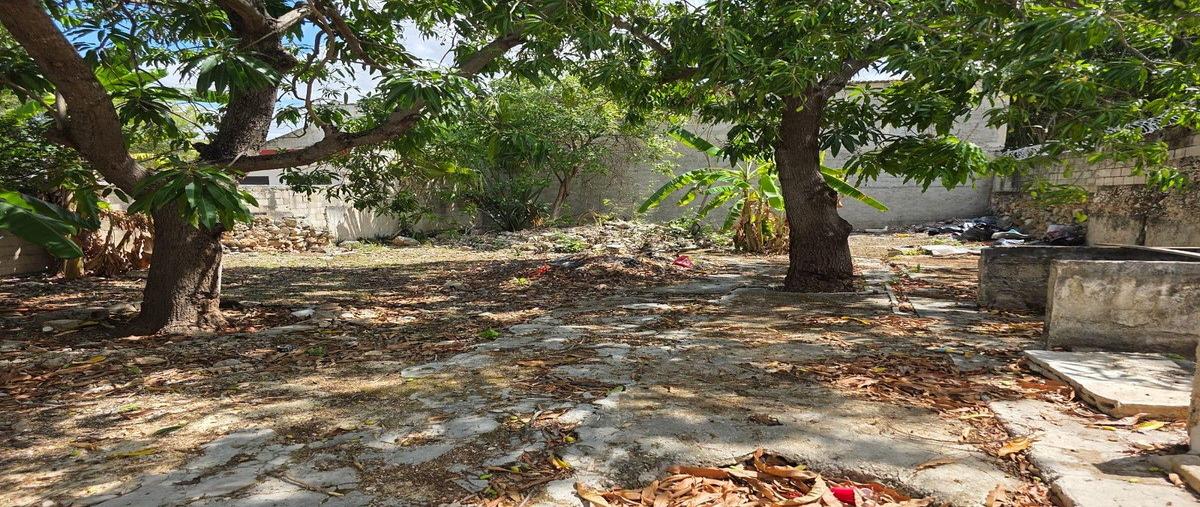 Foto de casa en 90 , merida centro, mérida, yucatán, 0 foto 02 Foto de casa en venta en 90 , merida centro, mérida, yucatán, 0 No. 02