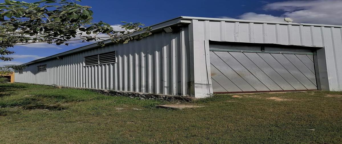 Foto de bodega en renta en 9.0 , teya, kanasín, yucatán, 23482989 No. 02
