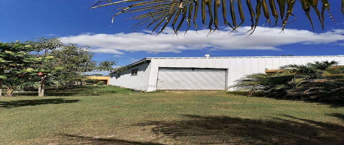 Foto de bodega en renta en 9.0 , teya, kanasín, yucatán, 23482989 No. 03