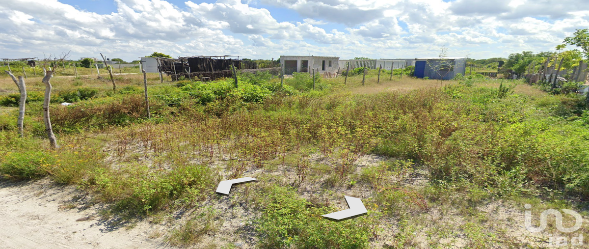 Foto de terreno habitacional en venta en 92 131, chelem, progreso, yucatán, 30766526 No. 03