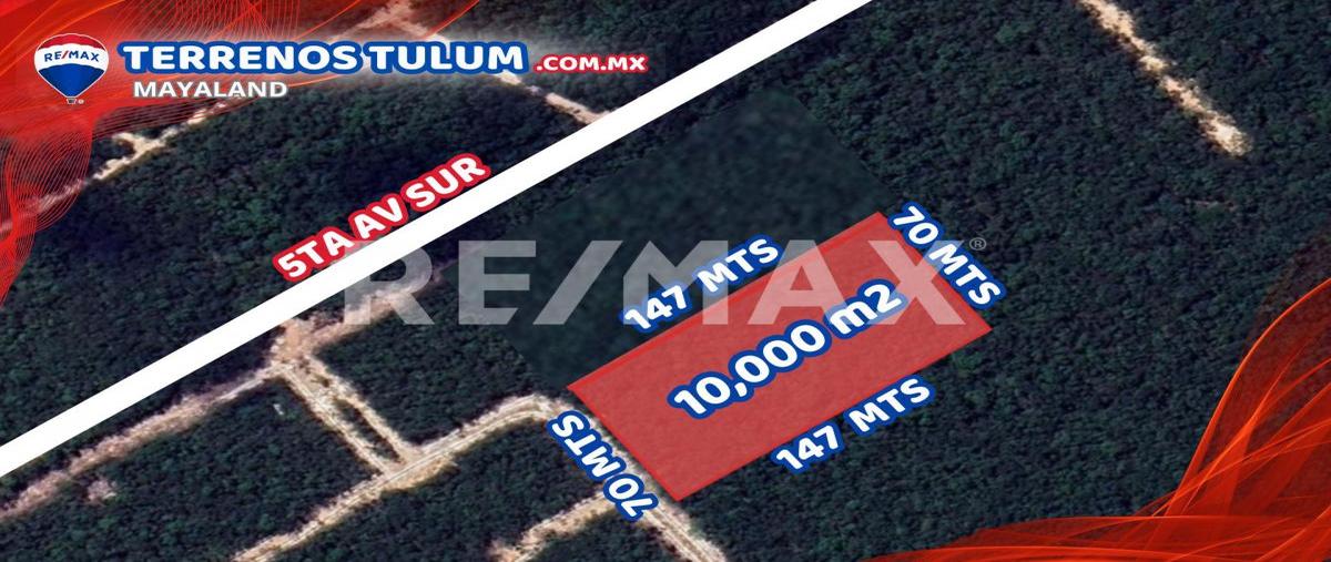 Foto de terreno comercial en 940 lt 3 , tulum centro, tulum, quintana roo, 29274696 foto 03 Foto de terreno comercial en venta en 940 lt 3 , tulum centro, tulum, quintana roo, 29274696 No. 03