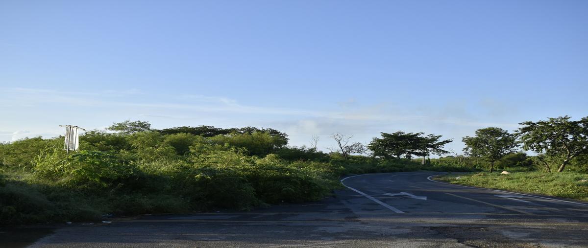 Foto de terreno habitacional en venta en 97 , paseos de opichen, mérida, yucatán, 30364867 No. 03