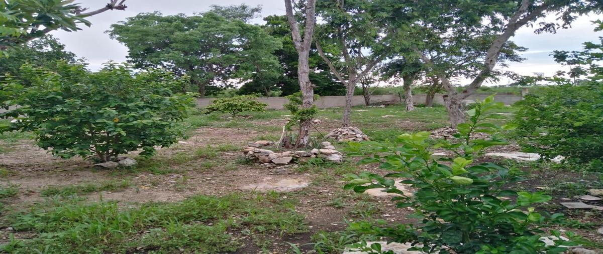 Foto de terreno habitacional en venta en 97134 , paraíso maya, mérida, yucatán, 25054438 No. 03