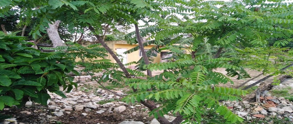 Foto de terreno habitacional en venta en 97134 , paraíso maya, mérida, yucatán, 25054438 No. 04