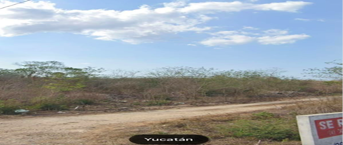 Foto de terreno habitacional en venta en 97302 , xcanatún, mérida, yucatán, 25054409 No. 03
