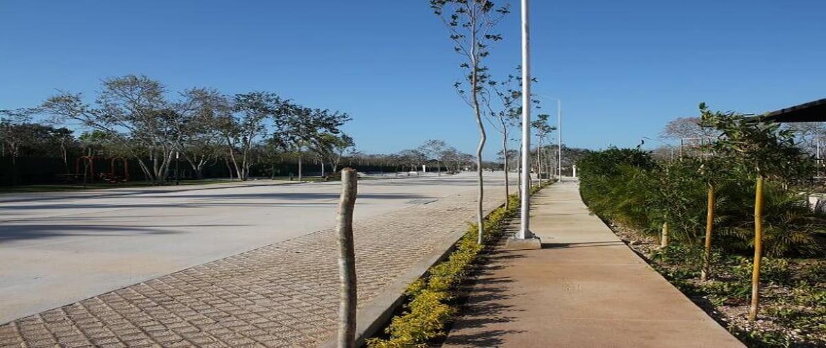 Foto de terreno habitacional en venta en 97305 , cholul, mérida, yucatán, 25054356 No. 03