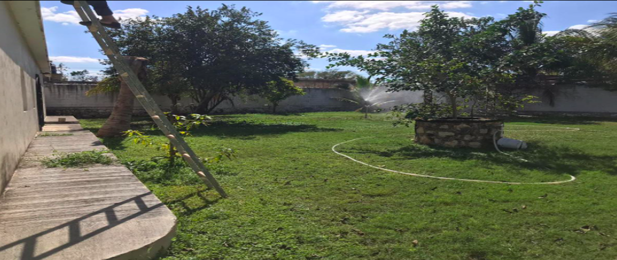 Foto de terreno habitacional en venta en 97305 , santa gertrudis copo, mérida, yucatán, 25054352 No. 04