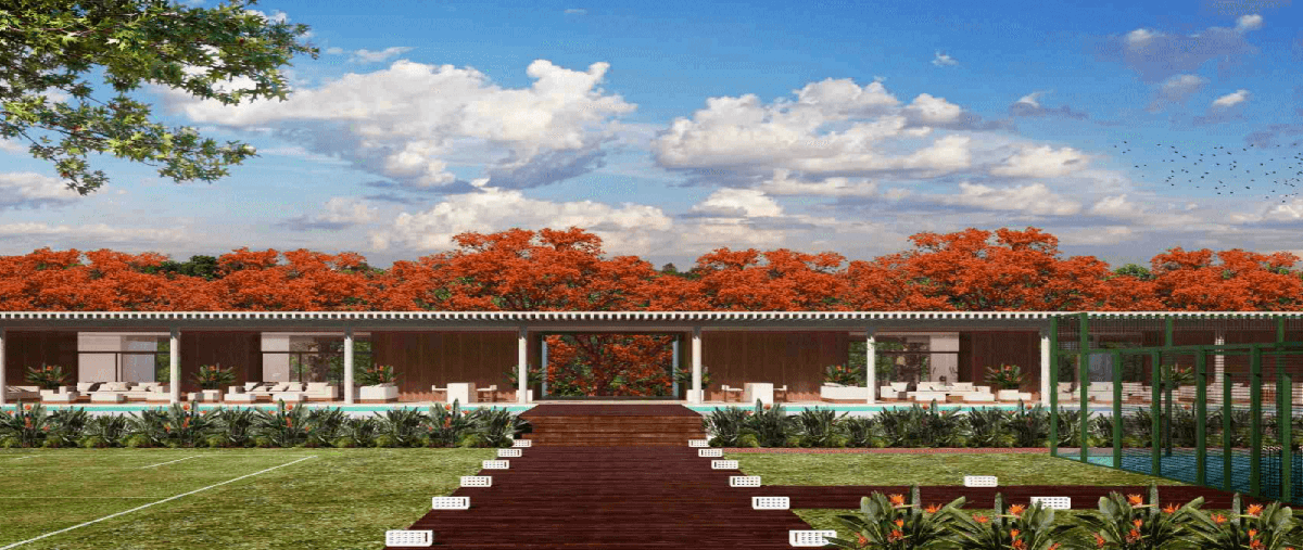 Foto de terreno habitacional en venta en 97320 , progreso de castro centro, progreso, yucatán, 25054465 No. 05