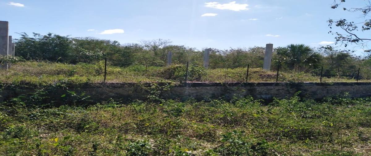 Foto de terreno habitacional en venta en 97340 , chicxulub, chicxulub pueblo, yucatán, 25054402 No. 03