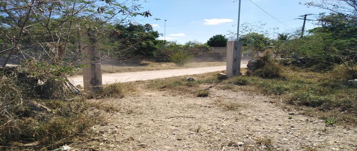 Foto de terreno habitacional en venta en 97340 , chicxulub, chicxulub pueblo, yucatán, 25054402 No. 04