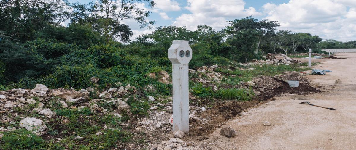 Foto de terreno habitacional en 97348 , yaxkukul, yaxkukul, yucatán, 25704208 foto 02 Foto de terreno habitacional en venta en 97348 , yaxkukul, yaxkukul, yucatán, 25704208 No. 02