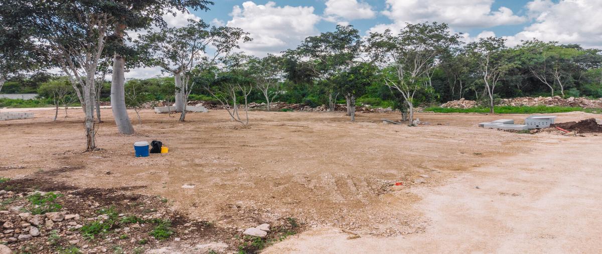 Foto de terreno habitacional en 97348 , yaxkukul, yaxkukul, yucatán, 25704208 foto 03 Foto de terreno habitacional en venta en 97348 , yaxkukul, yaxkukul, yucatán, 25704208 No. 03