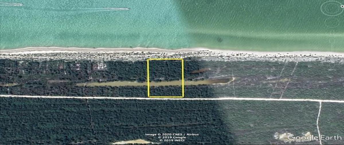 Foto de terreno habitacional en venta en 97367 , celestun, celestún, yucatán, 25054359 No. 03