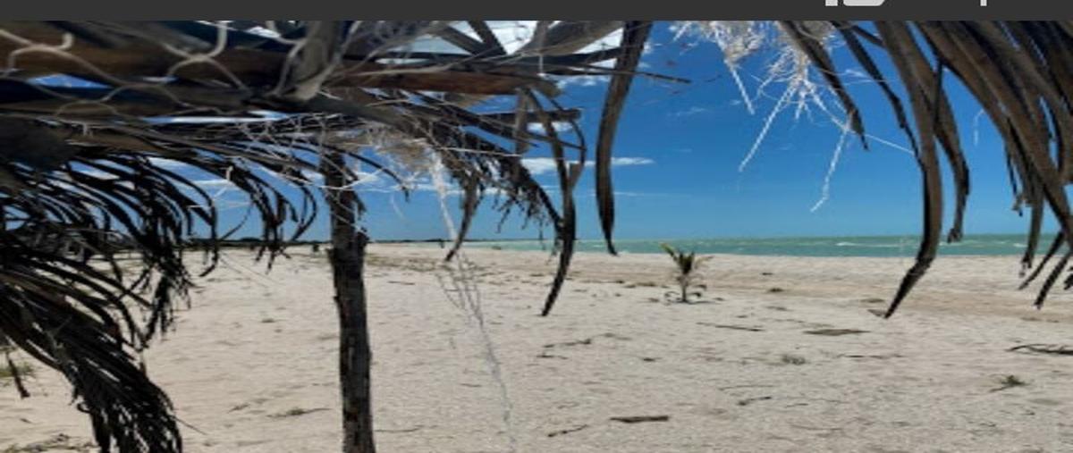 Foto de terreno habitacional en 97367 , celestun, celestún, yucatán, 25054430 foto 02 Foto de terreno habitacional en venta en 97367 , celestun, celestún, yucatán, 25054430 No. 02