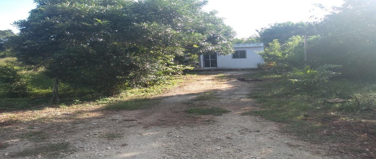 Foto de terreno habitacional en venta en 97380 , acanceh, acanceh, yucatán, 25054423 No. 03