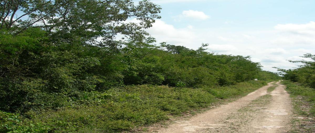 Foto de terreno habitacional en venta en 97380 , canicab, acanceh, yucatán, 25054420 No. 03