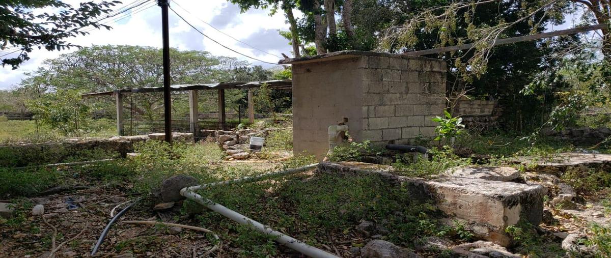 Foto de terreno habitacional en venta en 97404 , dzemul, dzemul, yucatán, 25054433 No. 04