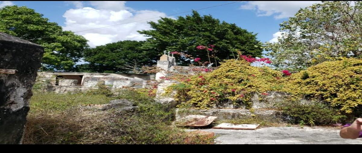 Foto de terreno habitacional en venta en 97404 , dzemul, dzemul, yucatán, 25054433 No. 05