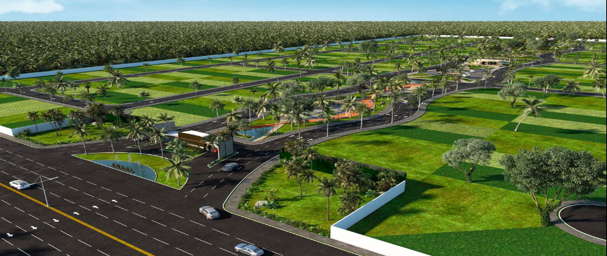 Foto de terreno habitacional en venta en 97424 , san crisanto, sinanché, yucatán, 25054450 No. 04