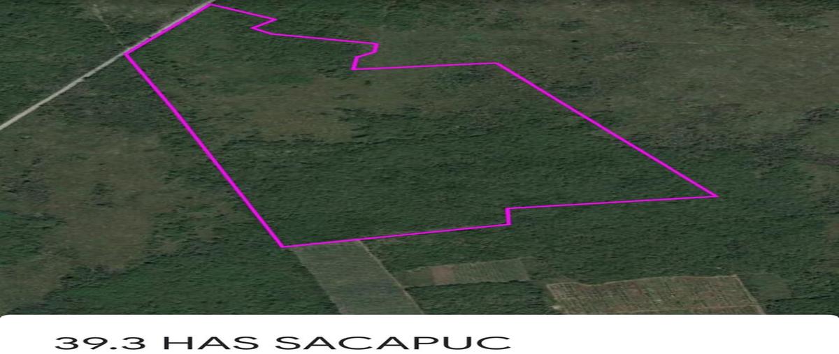Foto de terreno habitacional en venta en 97436 , sacapuc, motul, yucatán, 25054421 No. 03