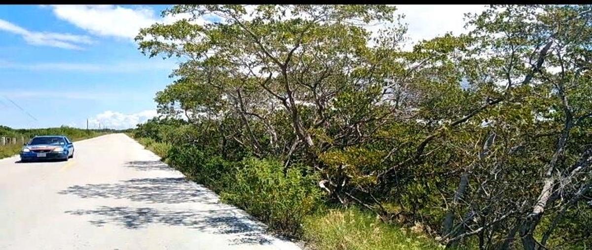 Foto de terreno habitacional en venta en 97504 , santa clara, dzidzantún, yucatán, 25054397 No. 03