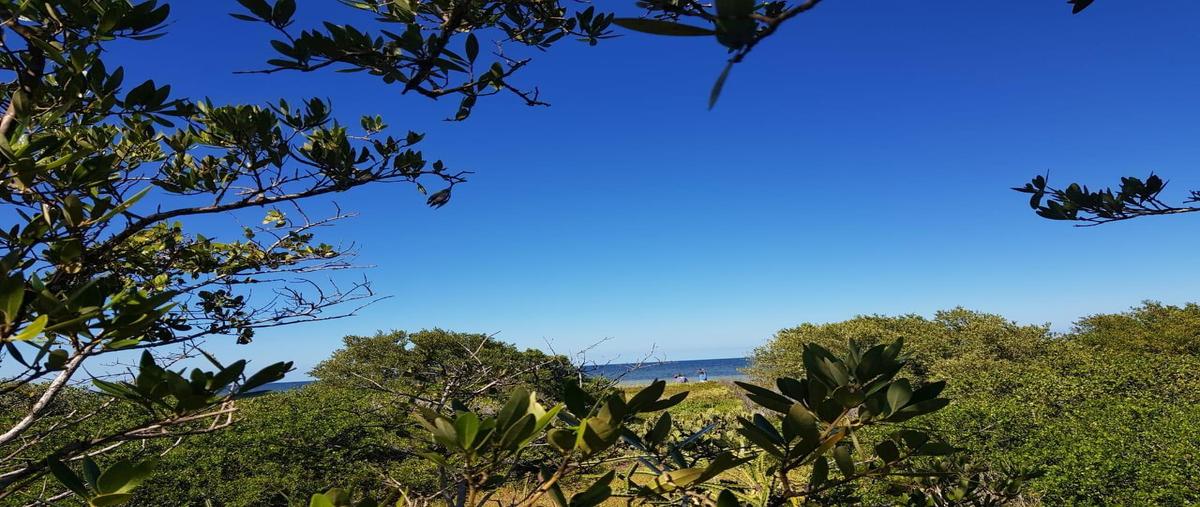 Foto de terreno habitacional en venta en 97606 , dzilam de bravo, dzilam de bravo, yucatán, 25054408 No. 03