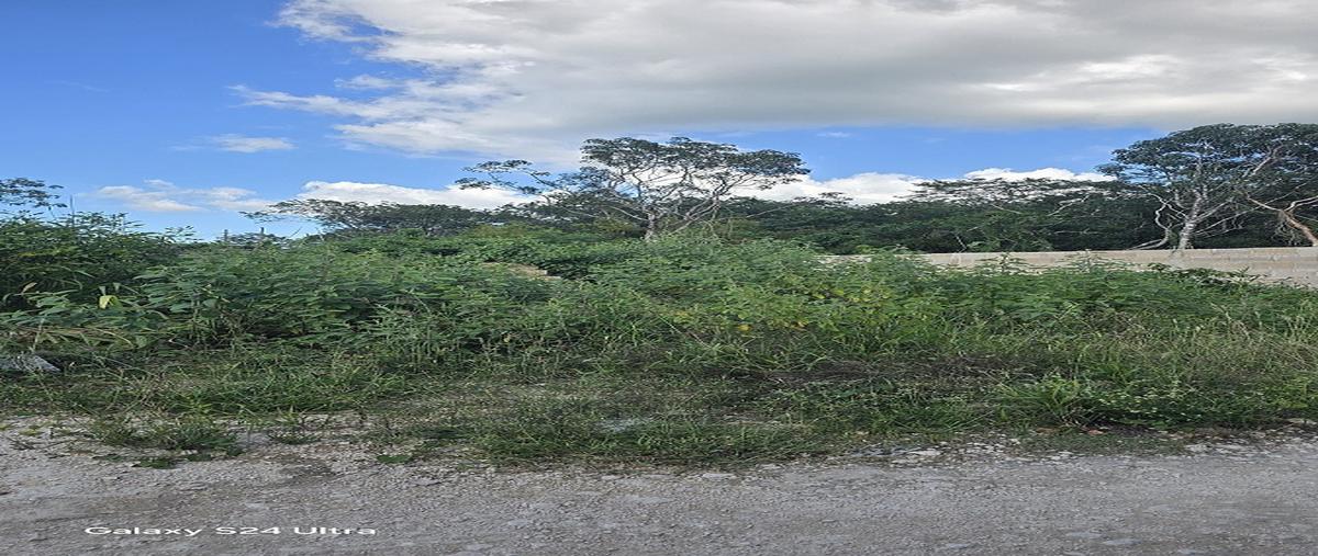 Foto de terreno habitacional en venta en 97760 , chichimila, chichimilá, yucatán, 0 No. 03