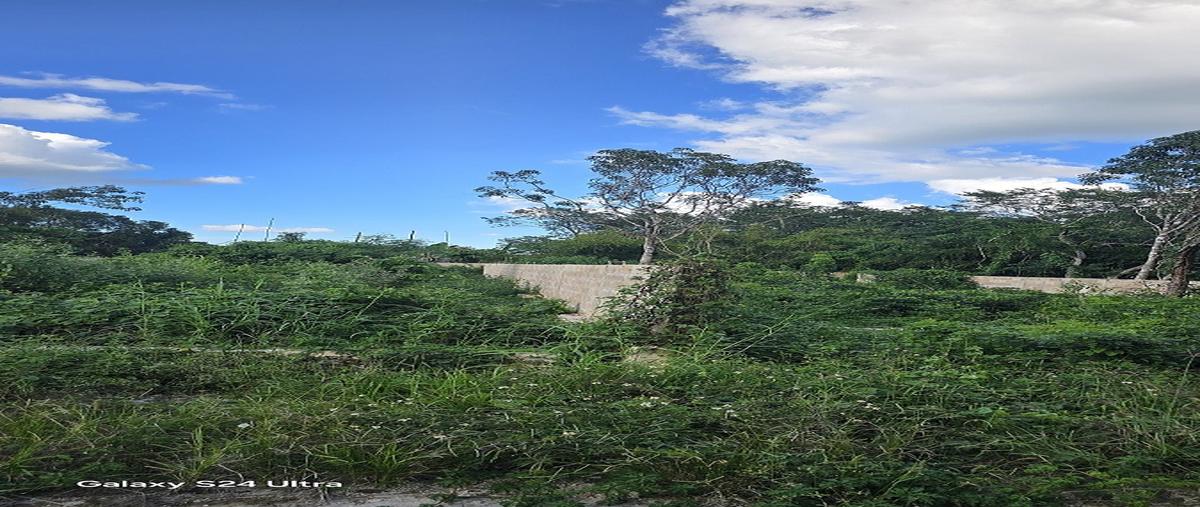 Foto de terreno habitacional en venta en 97760 , chichimila, chichimilá, yucatán, 0 No. 04