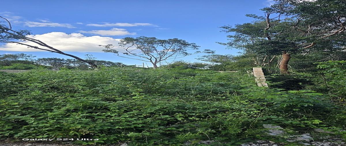 Foto de terreno habitacional en venta en 97760 , chichimila, chichimilá, yucatán, 0 No. 05