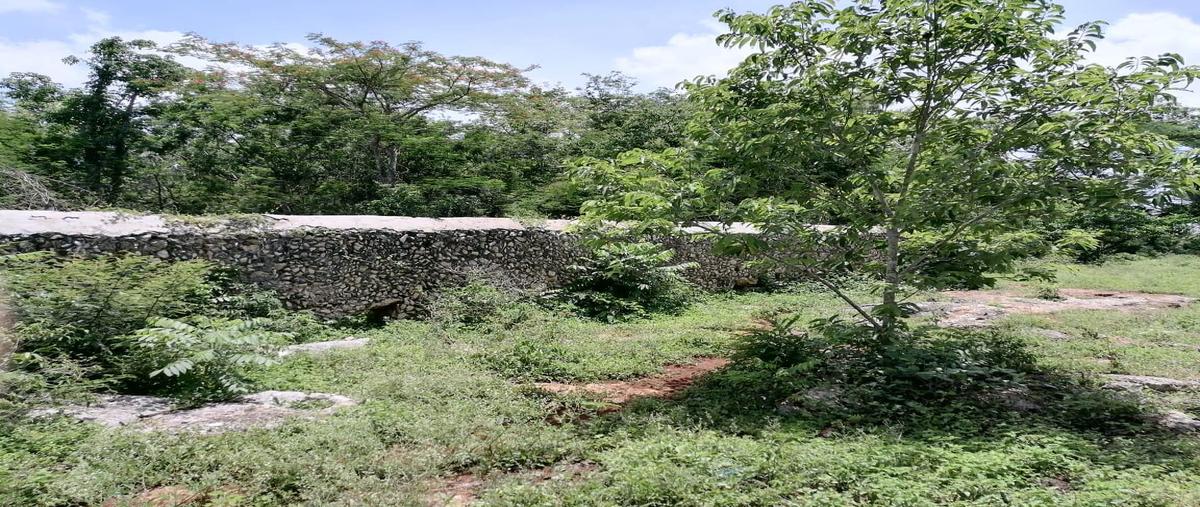 Foto de rancho en 97780 , valladolid centro, valladolid, yucatán, 25054363 foto 01 Foto de rancho en venta en 97780 , valladolid centro, valladolid, yucatán, 25054363 No. 01