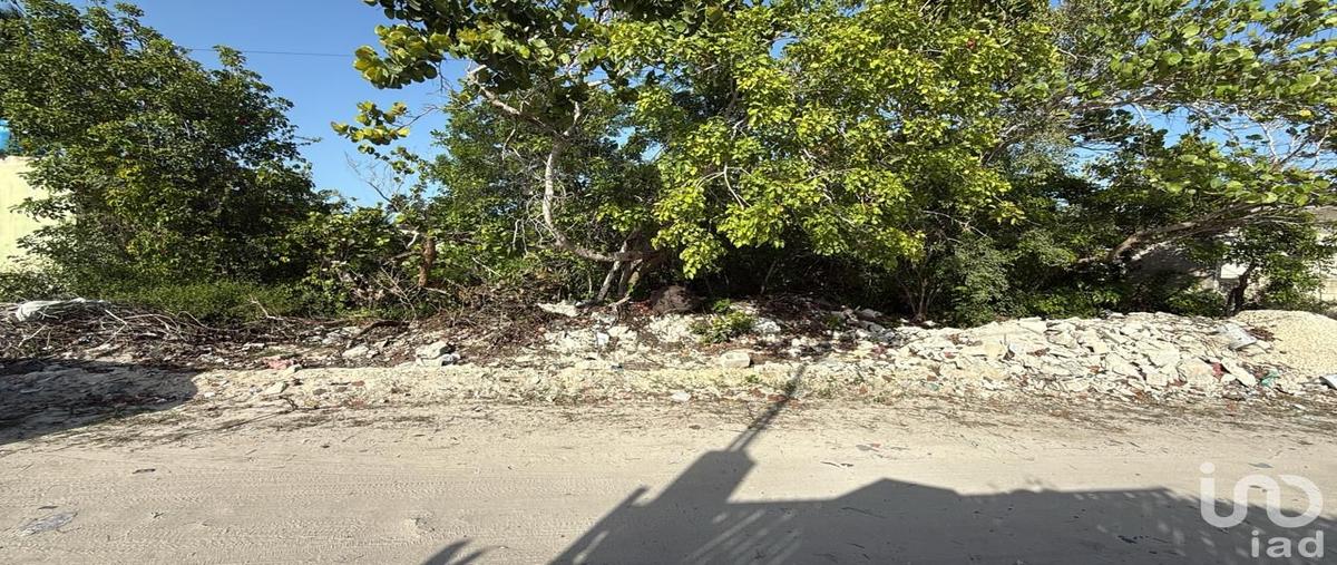 Foto de terreno habitacional en venta en 98 291, chelem, progreso, yucatán, 30408090 No. 04